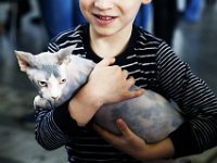 Wystawa Koty Poznan 2016 DeKaDeEs  (59)  Chłopiec i kot fot. DeKaDeEs / Kroniki Poznania © ®